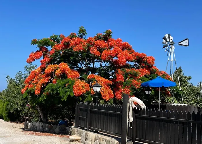 Filip Coral Bay * Pegeia