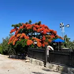 Filip Coral Bay * Peyia
