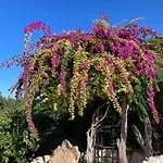 Filip Coral Bay בית נופש פאהיה