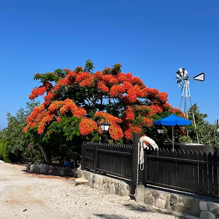 Filip Coral Bay * Peyia